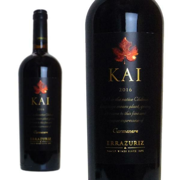 ヴィーニャ エラスリス カイ カルメネール 2016 エデュアルド チャド